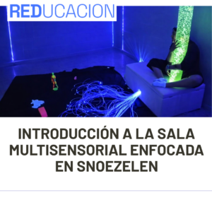 INTRODUCCIÓN A LA SALA MULTISENSORIAL ENFOCADA EN SNOEZELEN